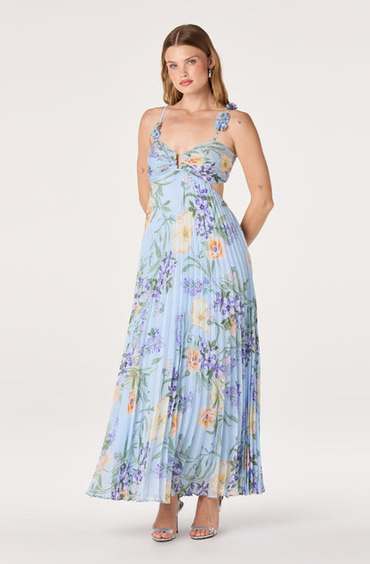 Emese Floral Cutout Maxi Dress