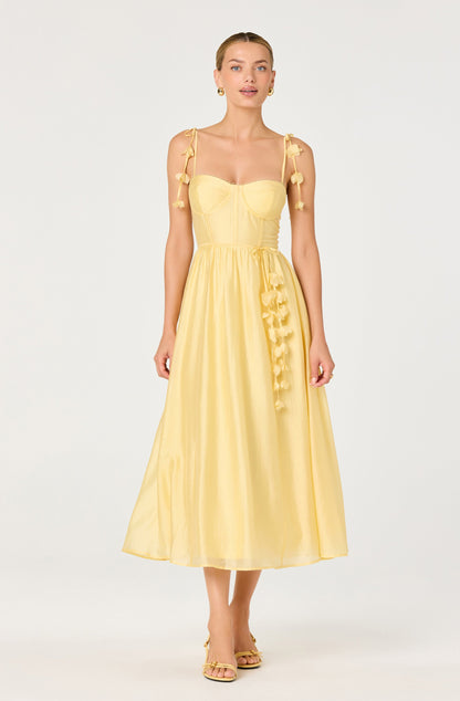 Halcyon 3D Flower Appliqué Midi Dress