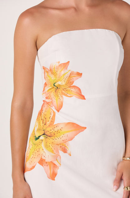 Kyla Print Mini Dress