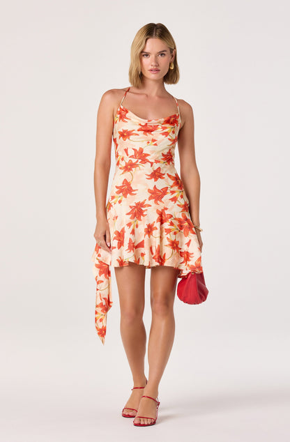 Paloma Cowl Neck Asymmetric Mini Dress