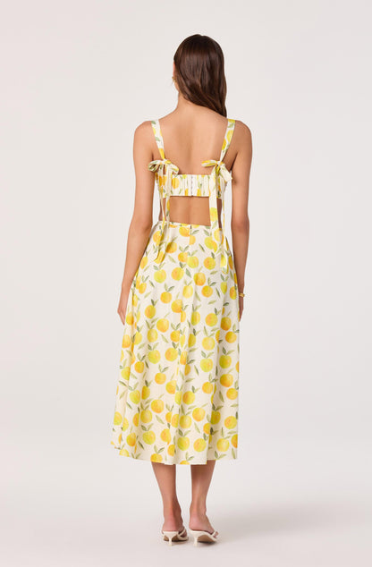 Myria Print Linen A-Line Midi Skirt