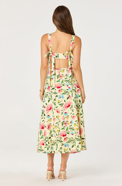Myria Print Linen A-Line Midi Skirt