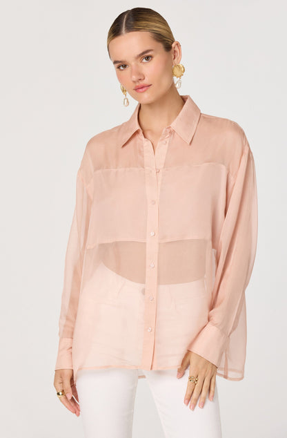 Evie Sheer Collared Button-Front Top